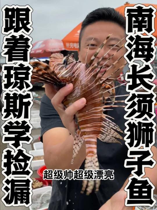 花30块钱捡到一只价值1500的观赏鱼,非常漂亮的长须狮子鱼!学名斑鳍蓑鲉,老规矩一半清蒸