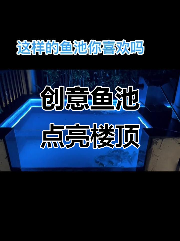 楼顶花园新景观,鱼池设计让空间更灵动