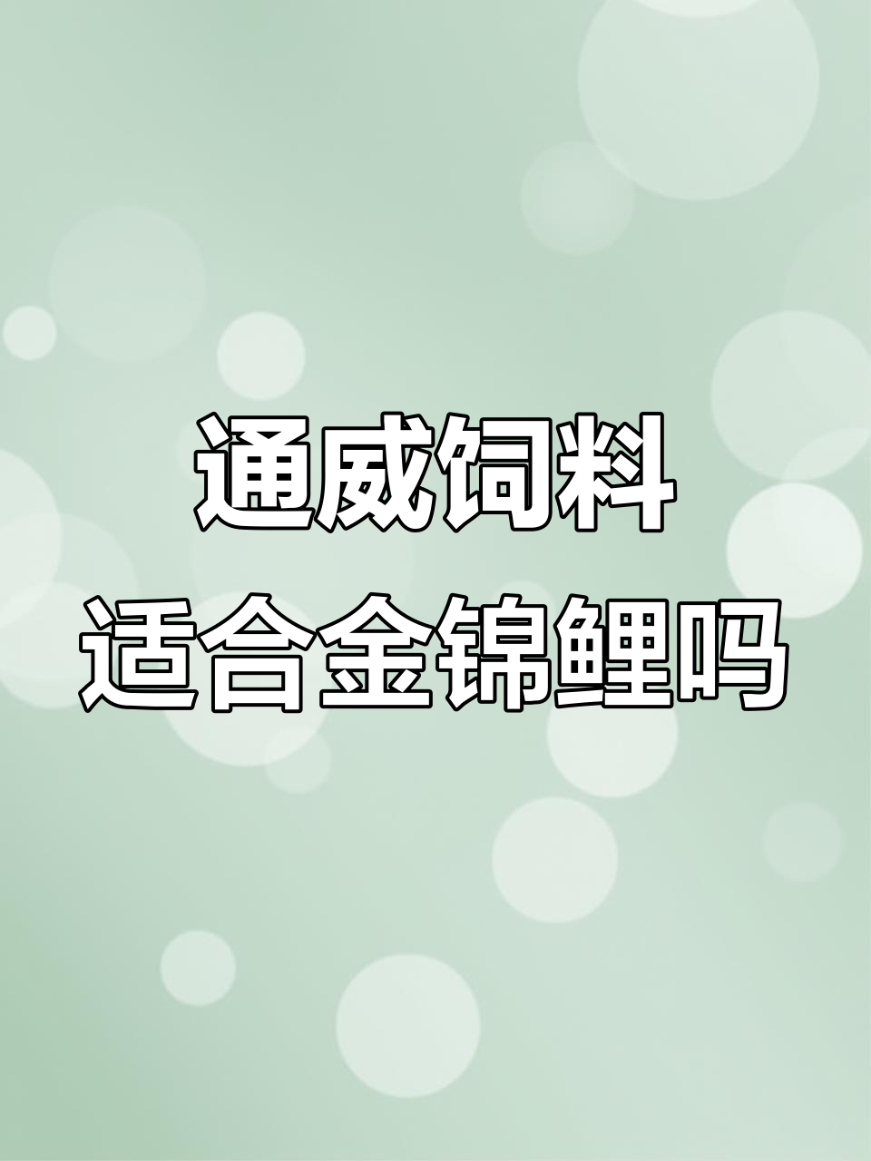 通威鲈鱼饲料能喂金鱼锦鲤吗?适口性测评
