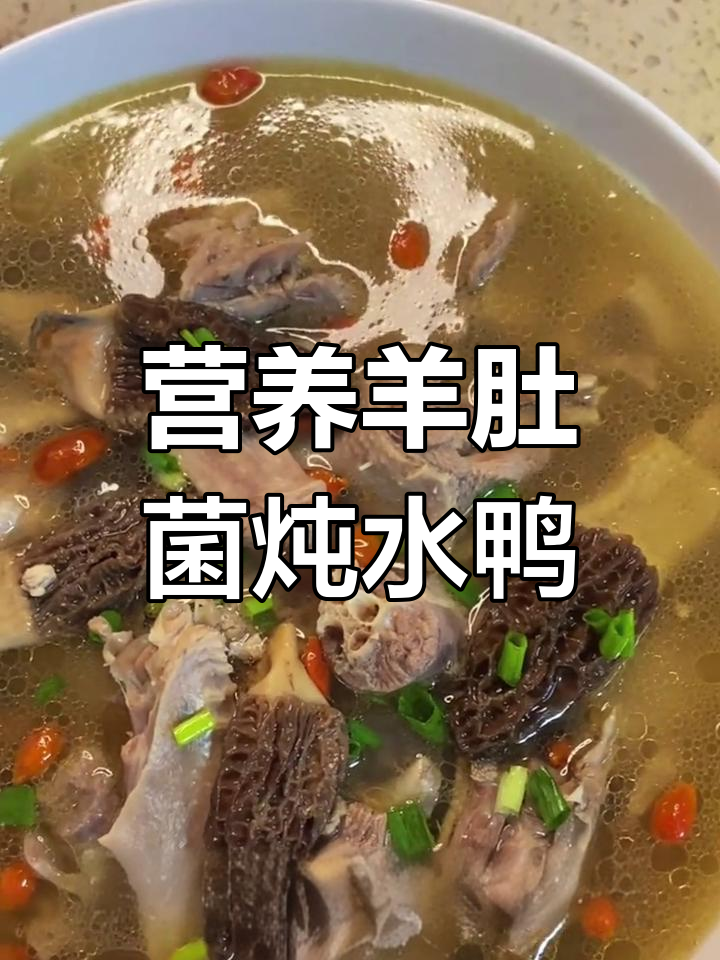 羊肚菌炖水鸭,滋补美味一学就会