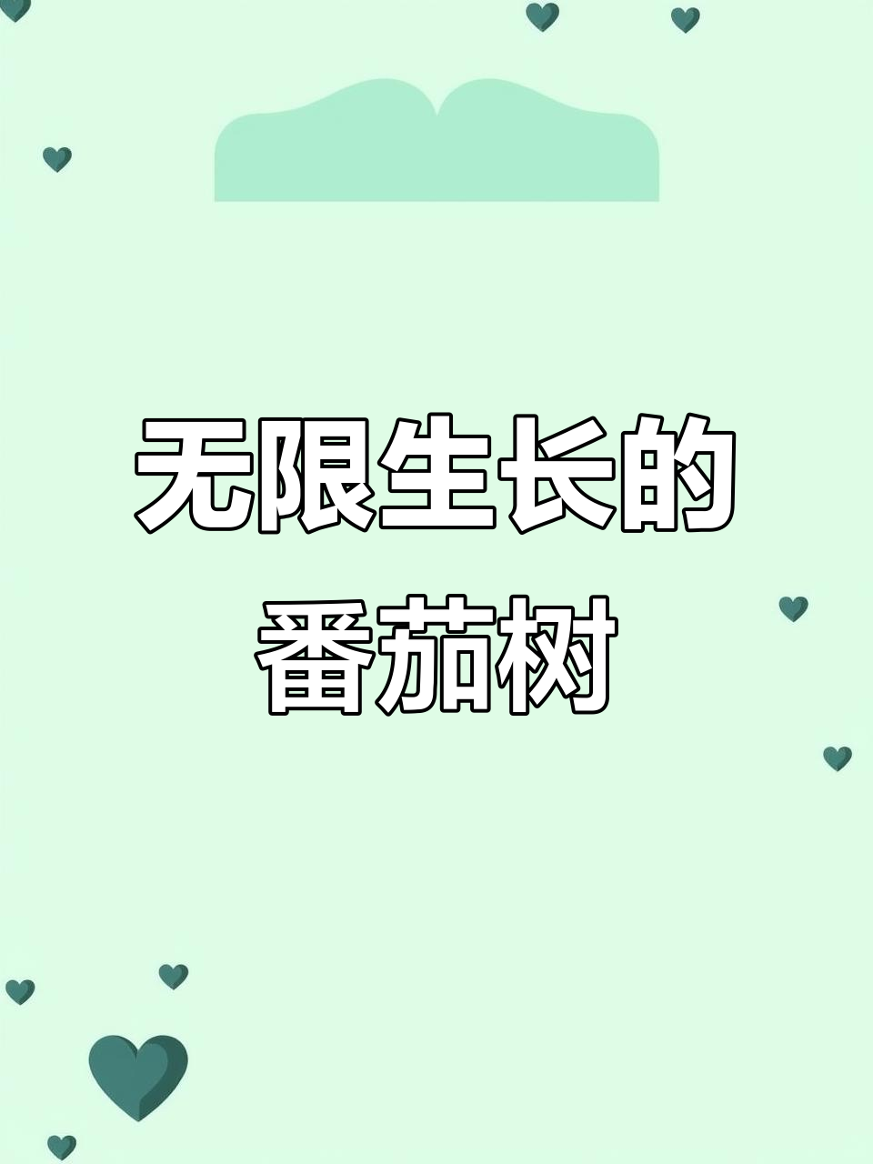 4月20日,番茄树惊现寿光菜博会产量6000斤
