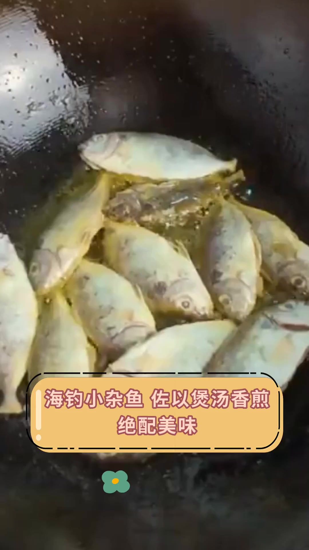 海钓小杂鱼 佐以煲汤香煎绝配美味