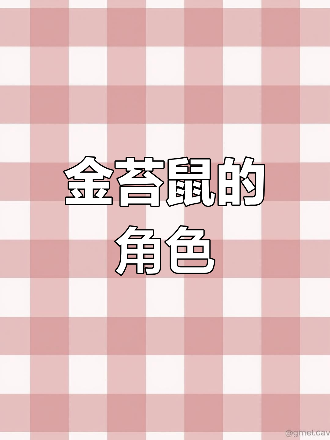 锦鲤与褐藻的较量,金苔鼠将扮演什么角色?