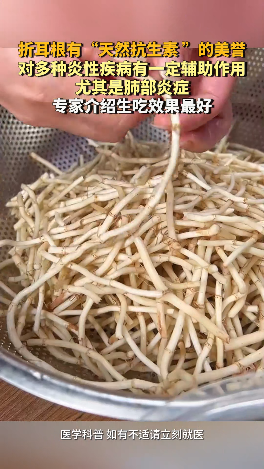 折耳根有“天然抗生素 ”的美誉,专家介绍生吃效果最好
