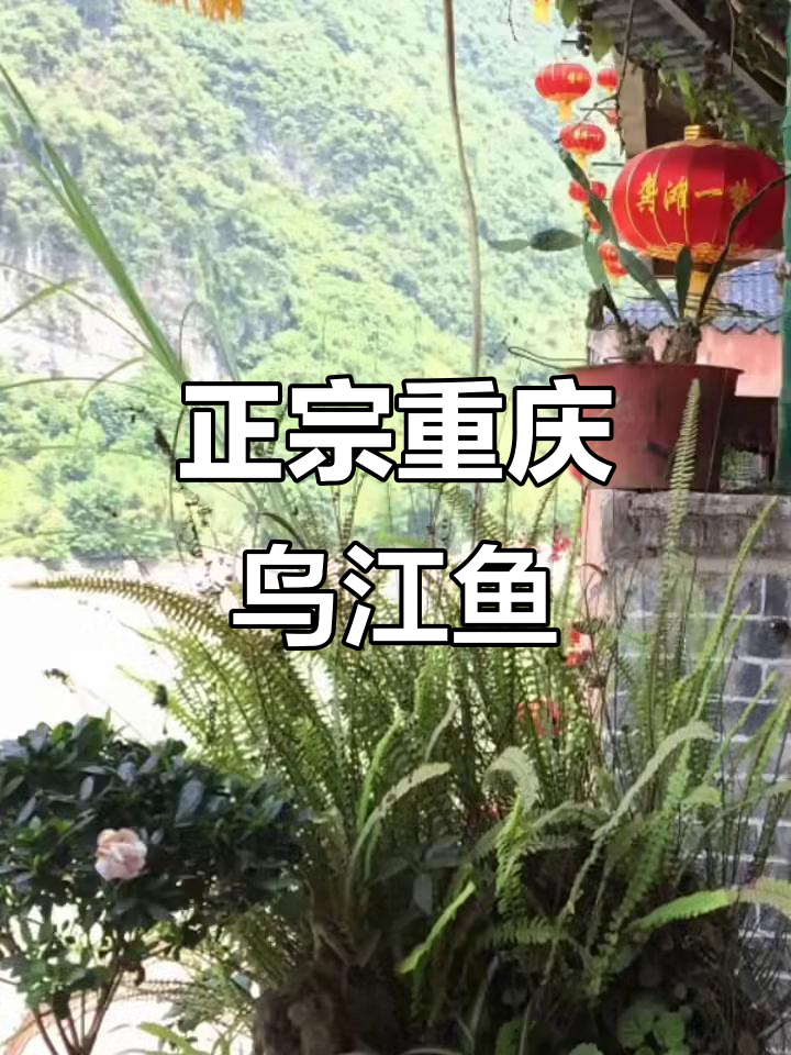 重庆乌江鱼,最正宗的味道大揭秘