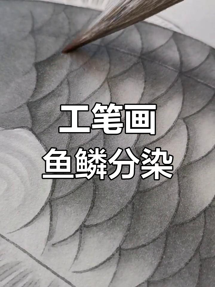 墨染鱼鳞,工笔鲤鱼的细腻之美