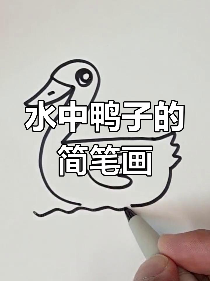 画一只水中游的鸭子，超简单！连小孩都能轻松搞定