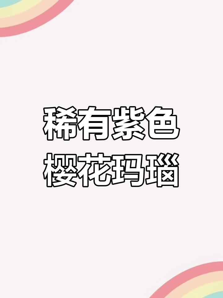 难得的葡萄酒紫樱花玛瑙,包金设计更显高贵