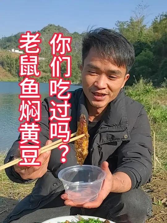 钓鱼吃鱼 红水河老鼠鱼，你们吃过吗？钓鱼钓鱼人的快乐真实生活分享计划钓鱼人就是这样疯狂新农