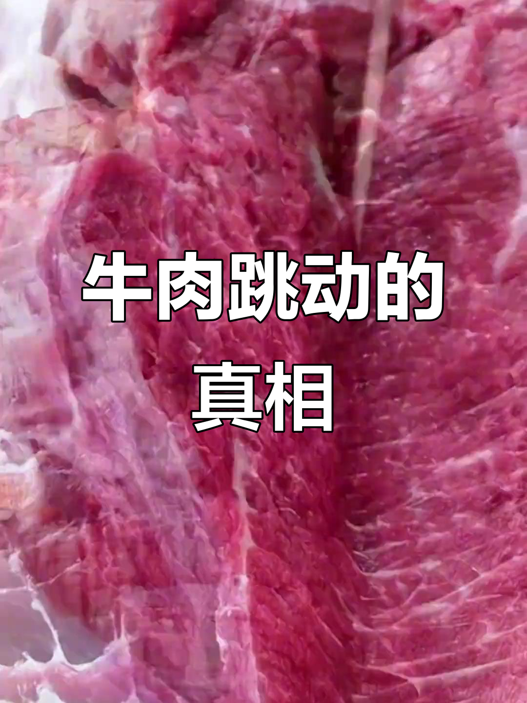 牛肉跳动并非寄生虫,其实是肌肉自然反应