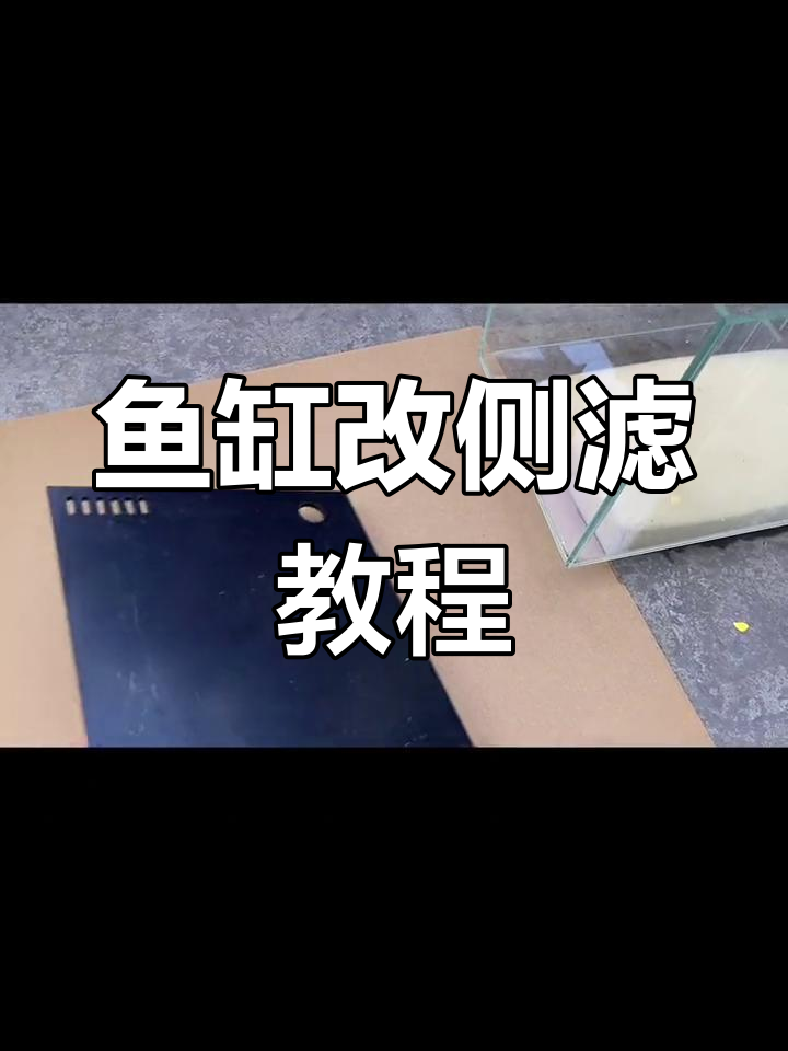鱼缸改造全流程:从裸缸到侧滤,轻松搞定