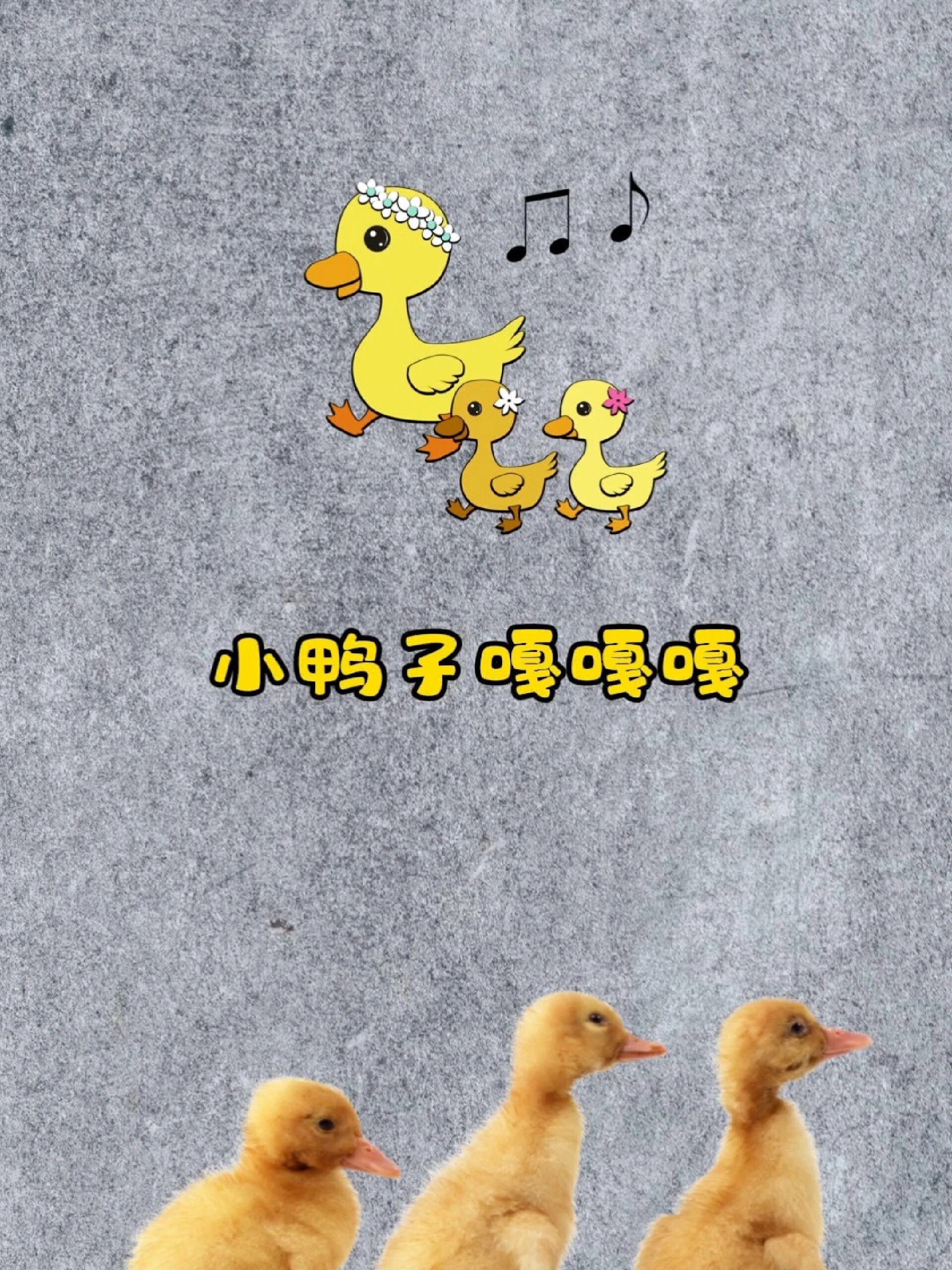 经典儿歌:小鸭子嘎嘎嘎