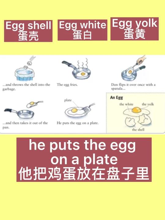 每日英语9煎鸡蛋