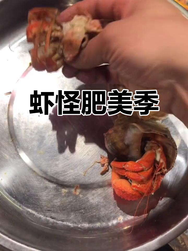 虾怪肥美季节,肉质鲜嫩让人惊艳!