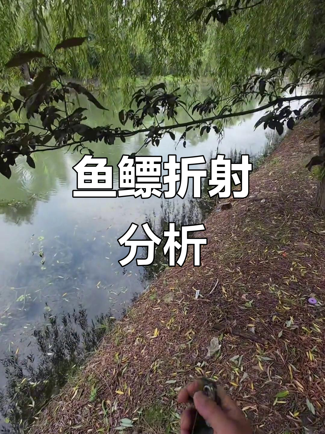 鱼鳔折射角度判断,打低不打高技巧揭秘