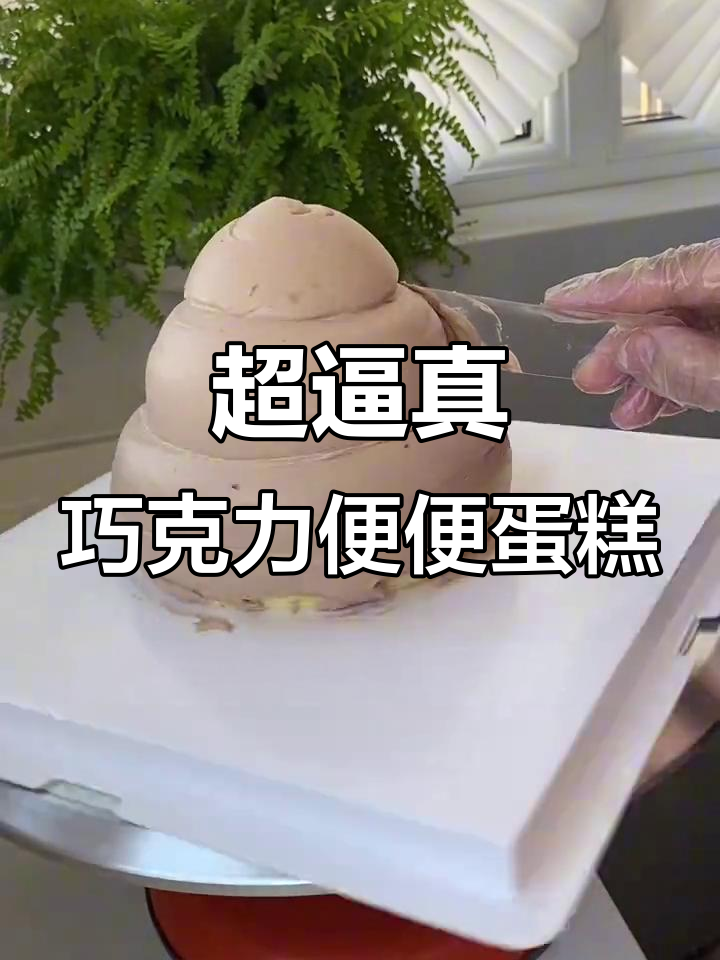 巧克力奶冻与奶油的完美结合，便便蛋糕超惊艳！