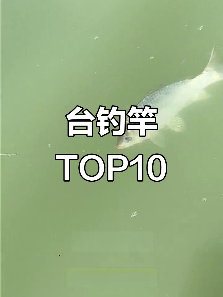 台钓竿十大排名，哪些品牌最受欢迎？
