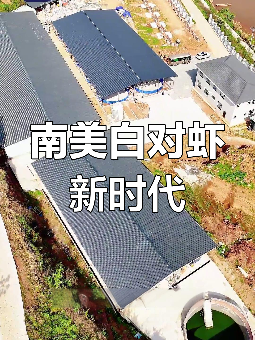 田城开启南美白对虾工厂化养殖,西部新篇章!