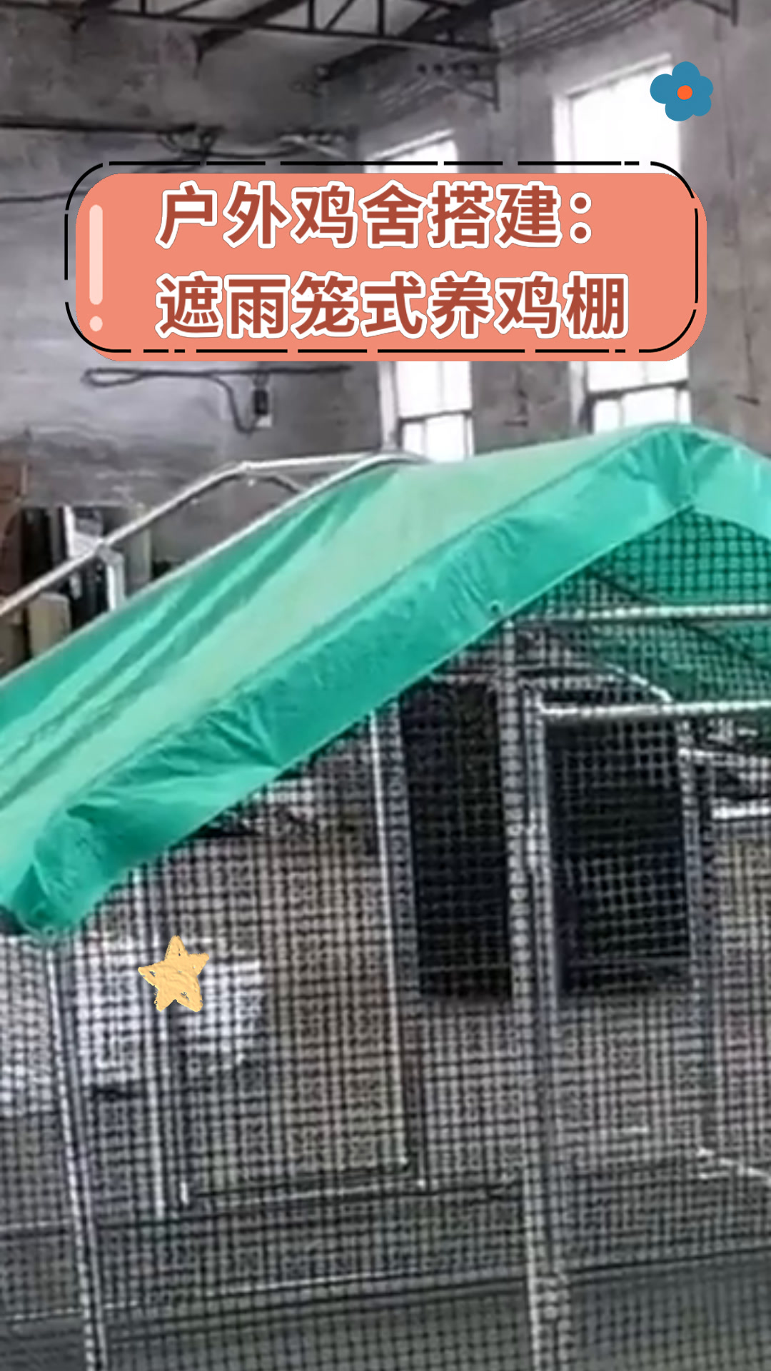 户外鸡舍搭建:遮雨笼式养鸡棚
