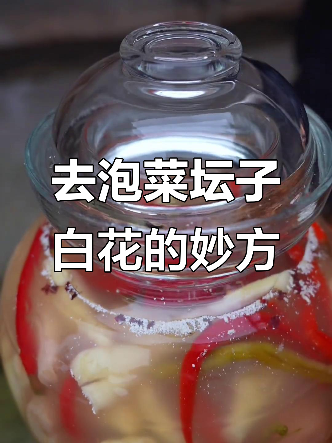 四川泡菜坛子生花?教你几招轻松去除白花