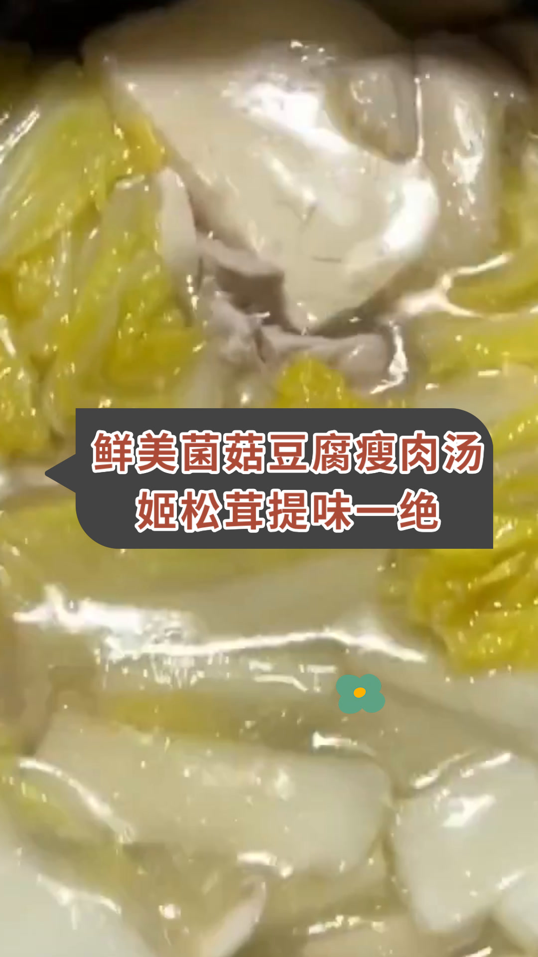 鲜美菌菇豆腐瘦肉汤姬松茸提味一绝