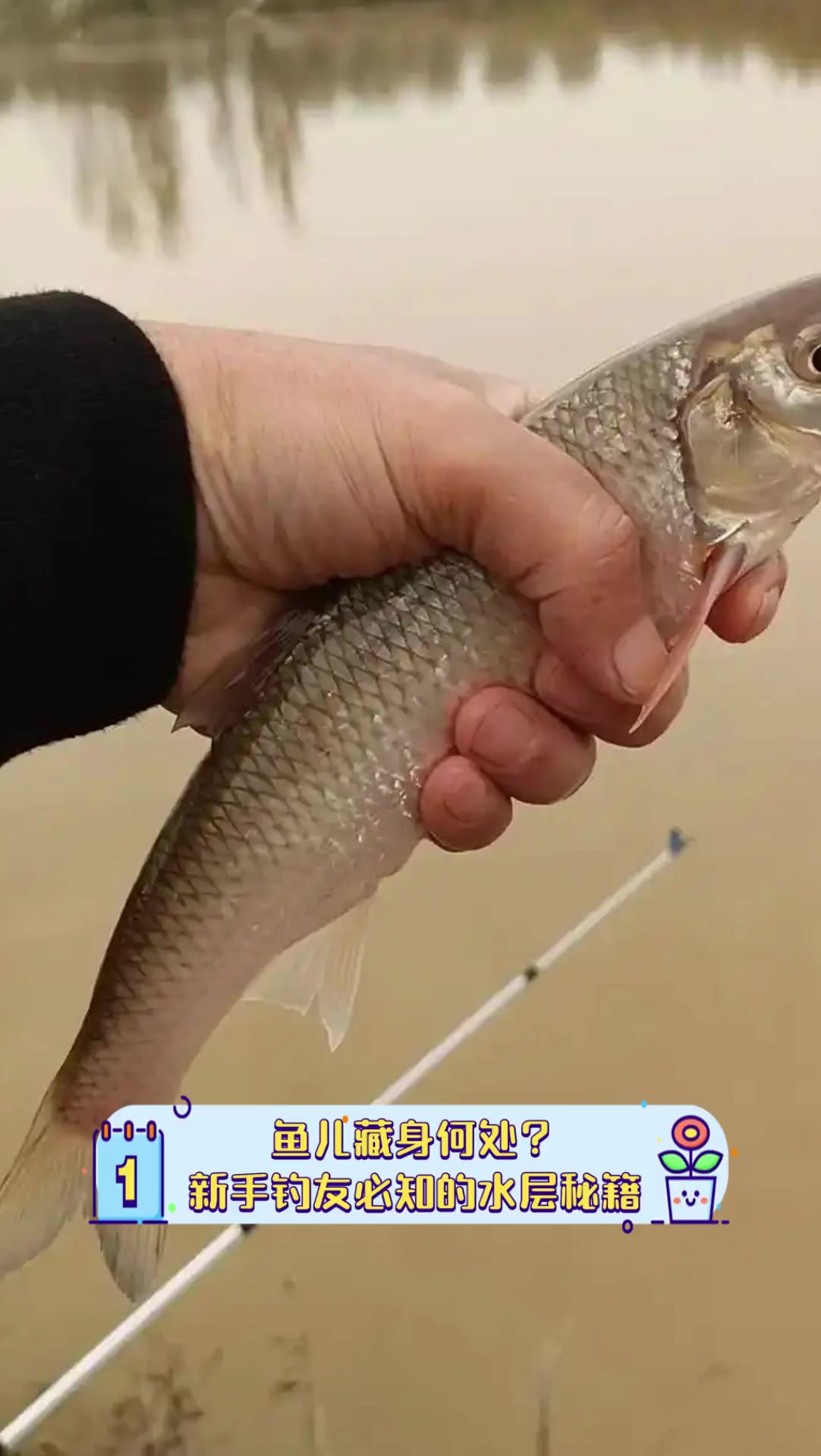鱼儿藏身何处?新手钓友必知的水层秘籍