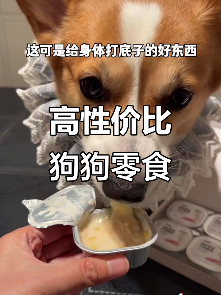 鸡肉羊奶搭配鲣鱼磷虾,营养满满又实惠!