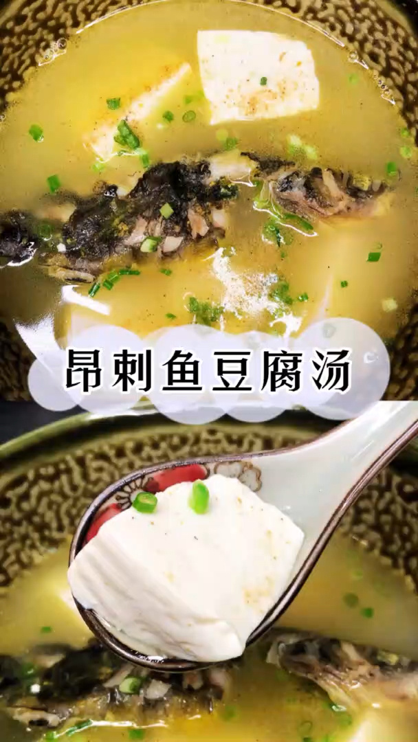 昂刺鱼豆腐汤|汤白味鲜,肉质嫩滑又少刺