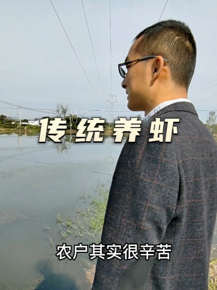 鱼菜高带你体验鲜美的河虾是如何养殖的