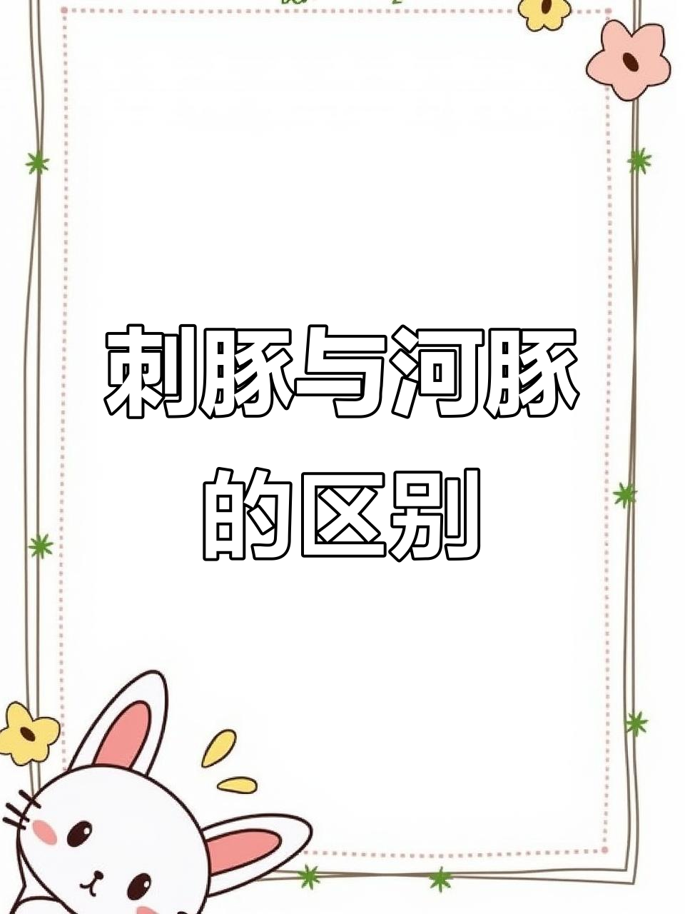 刺豚鱼:看似河豚,却不是!南海美味不容错过