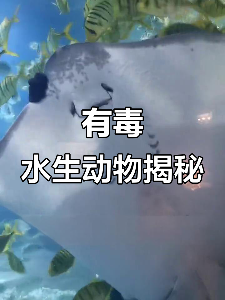 水生生物中的毒物，河豚、狮子鱼竟是“危险分子”