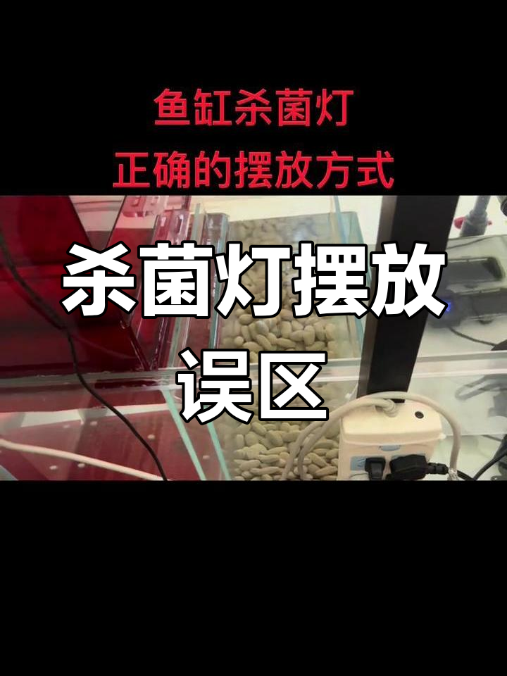杀菌灯放水泵仓?很多人被误导,正确位置在这里!