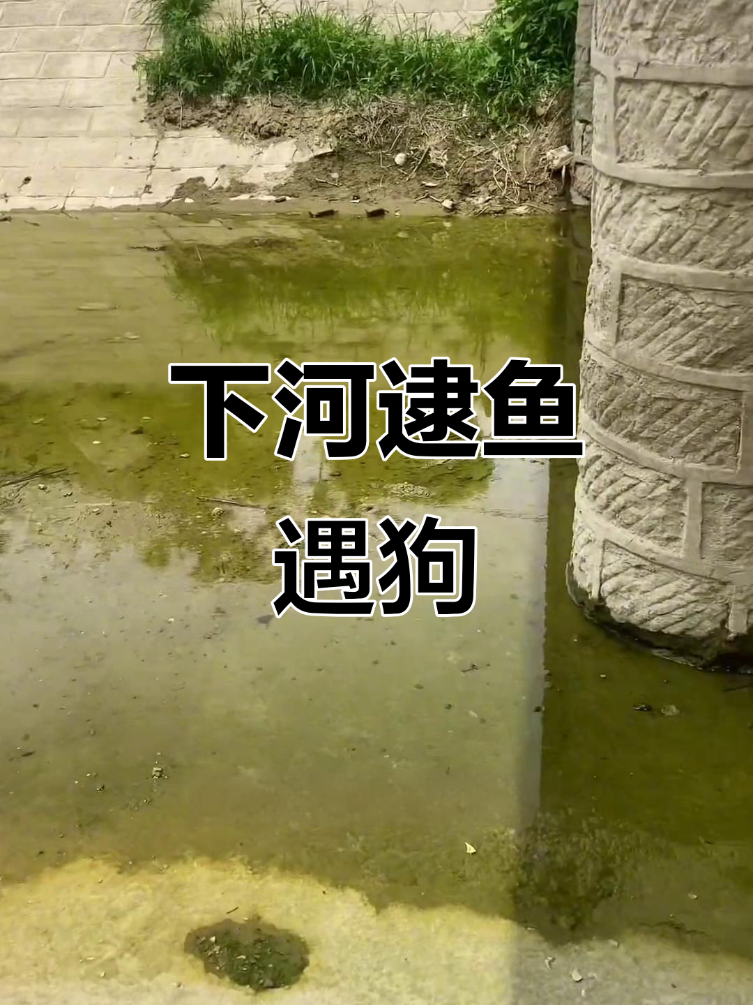 雨靴下河抓鱼,竟然遇到狗子!