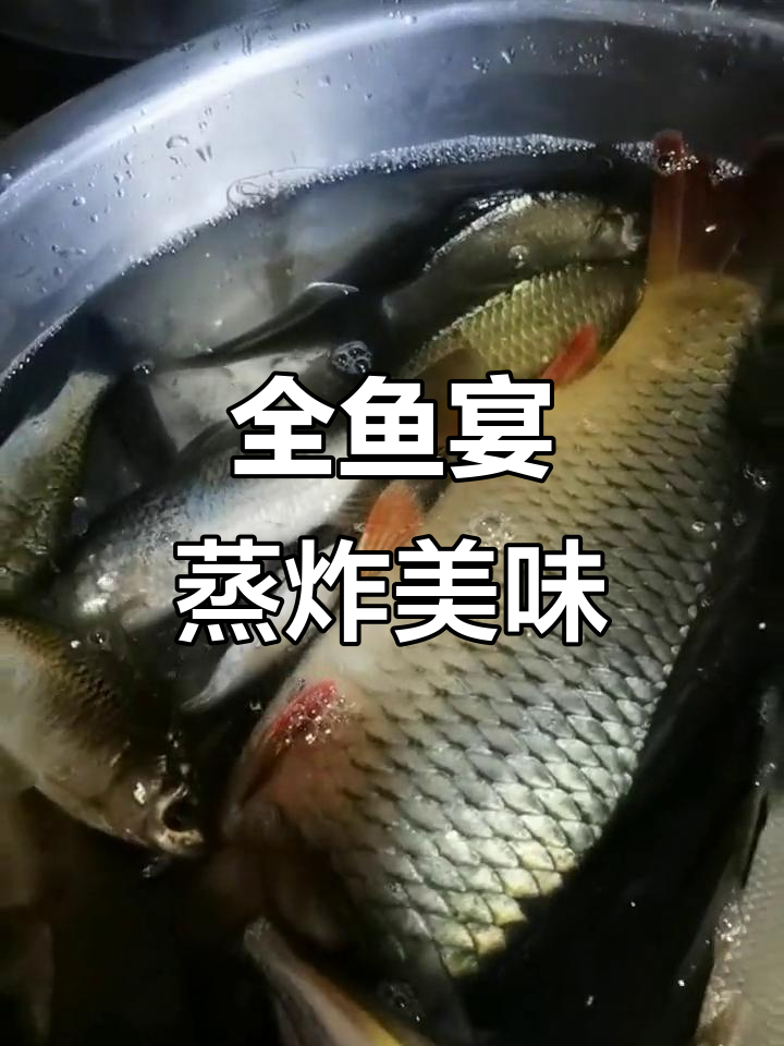 乌苏里江大鲤鱼,蒸炸小虾米全鱼宴来啦!