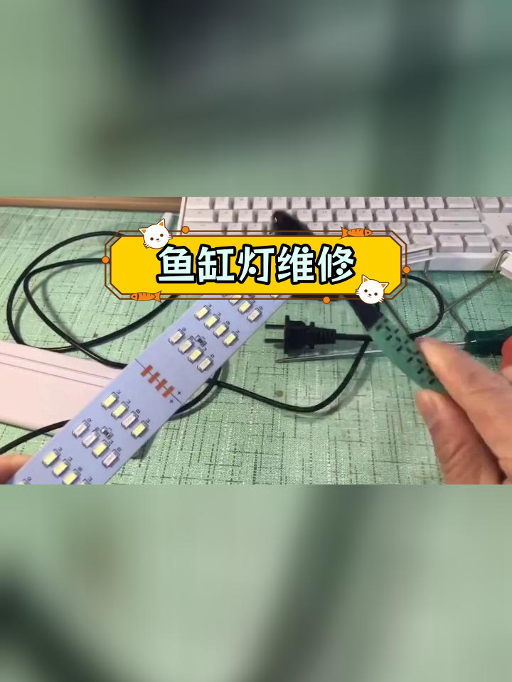 鱼缸灯进水后自动修复,重新点亮