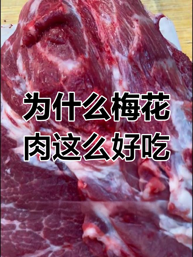 梅花肉为何能媲美牛排?揭秘猪前腿最美味部位