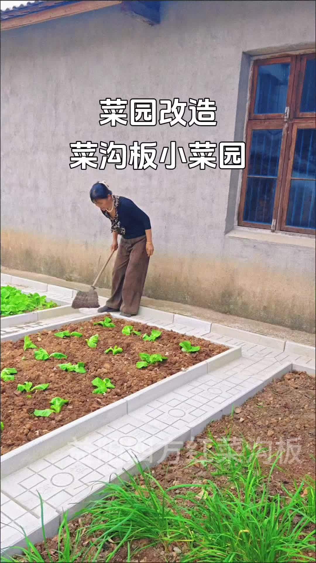 菜沟板 菜园改造 菜园 农村菜园设计 农家菜园