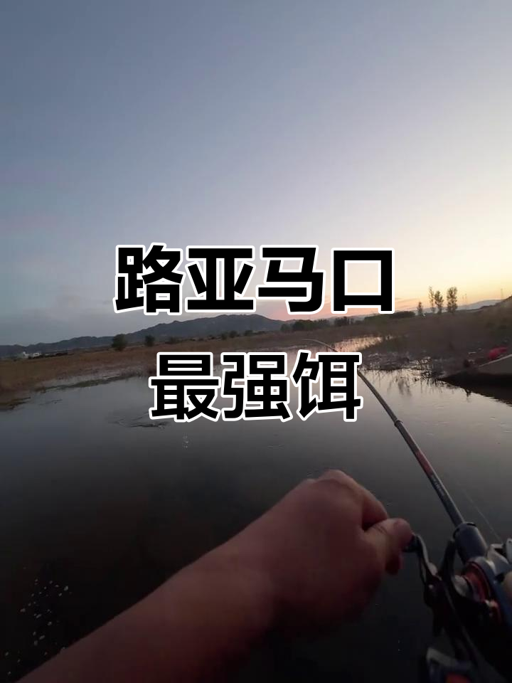 马口最强诱鱼剂,路亚钓法大揭秘