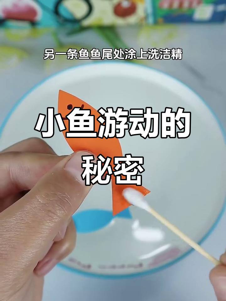 洗洁精让小鱼游动，科学小实验揭秘