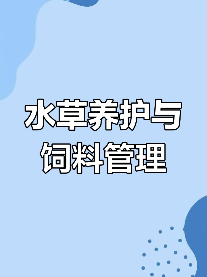 澳洲淡水龙虾养殖技巧:水草管理与饲养策略