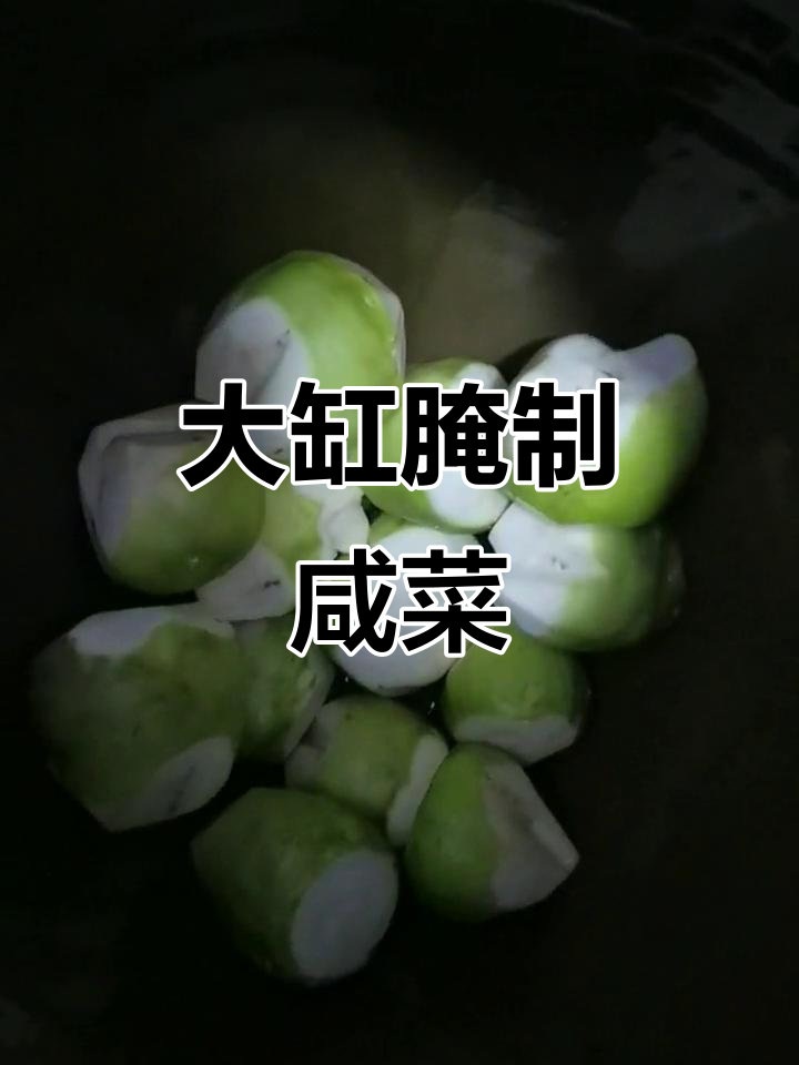 腌咸菜的技巧与步骤,大缸制作全攻略