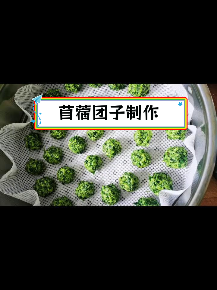 新鲜苜蓿芽的做法,营养美味