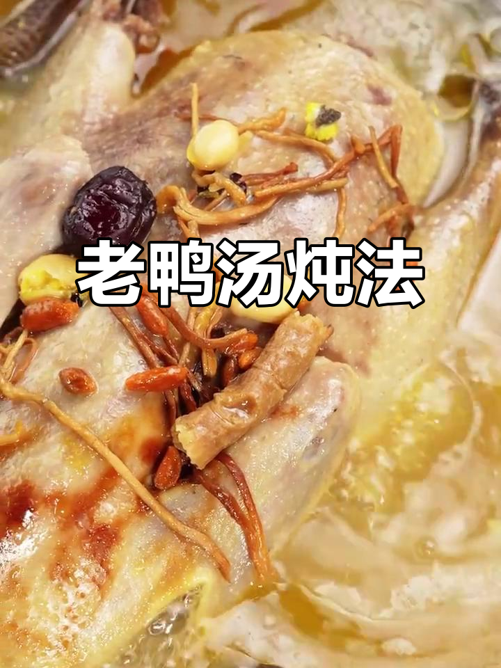 秋冬必备！老鸭汤配煲汤料包，暖心又美味