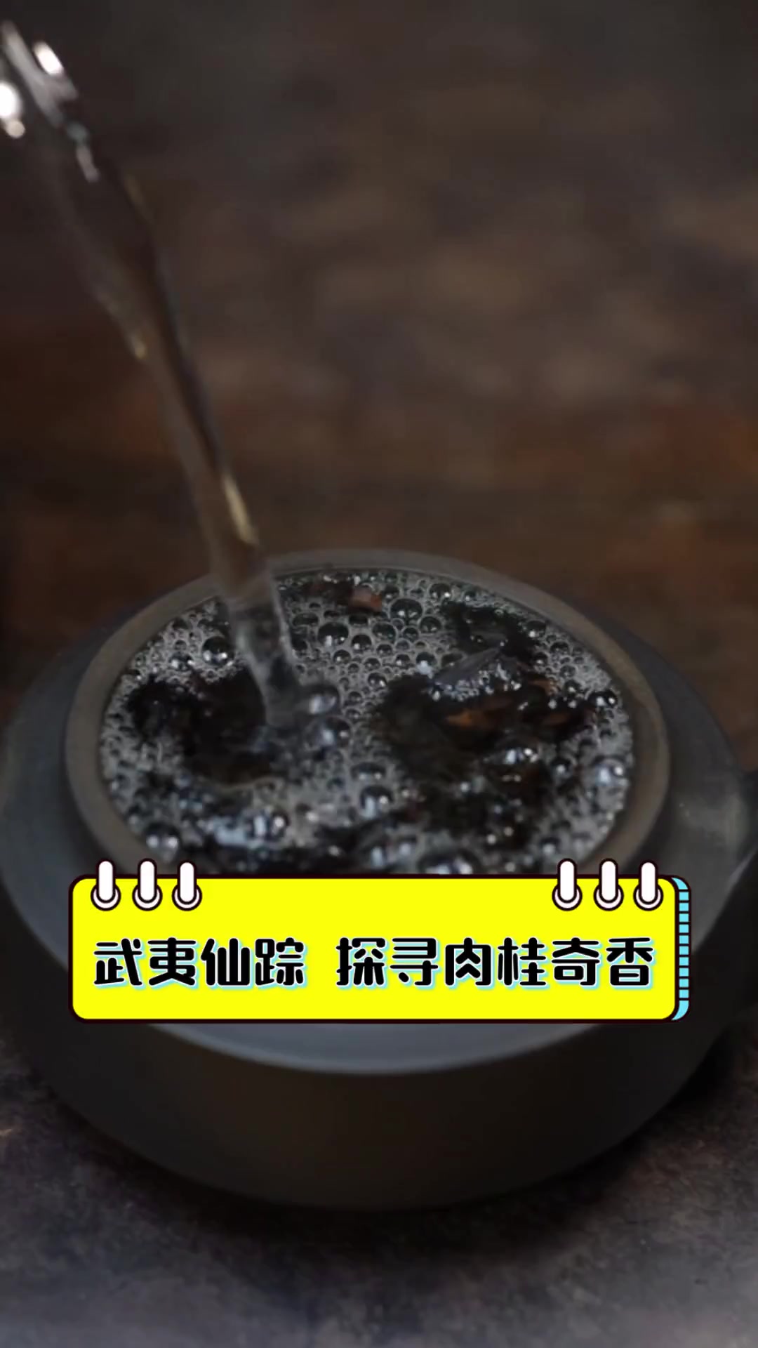 武夷仙踪,探寻肉桂奇香