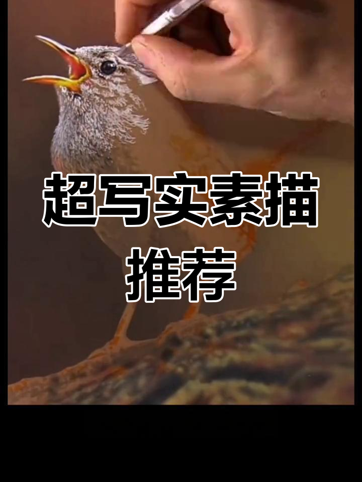 冷军与刘斌的素描技艺,超写实风格解析