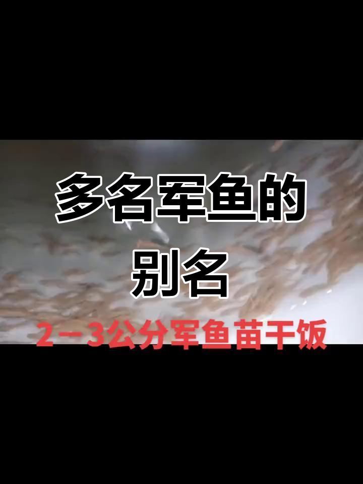 军鱼,多种俗称的淡水鱼类