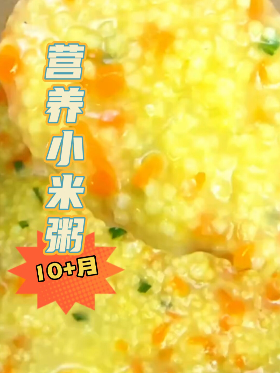 10+月宝宝营养小米粥 健脾养胃辅食婴儿餐