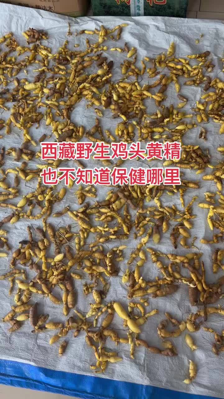 西藏特产 西藏野生鸡头黄精 也不知道保健哪里
