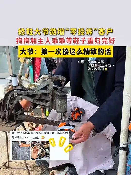 修鞋大爷激增“零投诉”客户，狗狗和主人乖乖等鞋子重归完好。大爷：第一次接这么精致的活。可爱