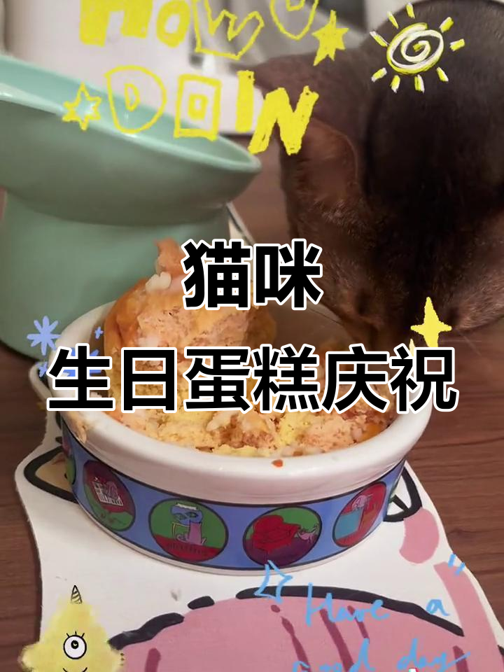 小猫一岁蛋糕庆典,干饭最积极的小可爱!